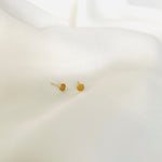 Load image into Gallery viewer, Petite Circle Studs
